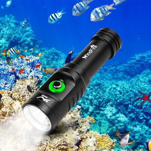 Lampe de Plongée Rechargeable WINDFIRE 3000LM