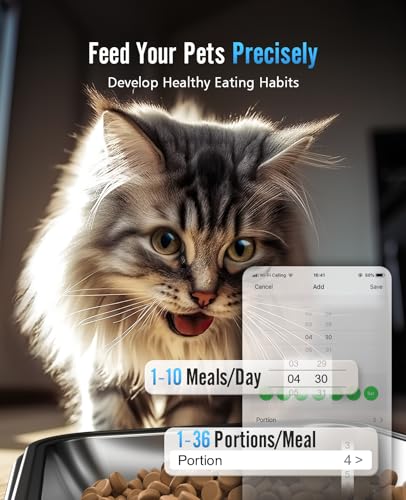 Distributeur Croquettes Chat Automatique 2 Bols