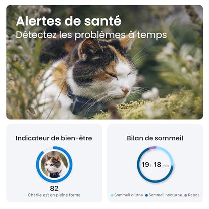 Tractive Collier GPS Chat Mini – Localisation et Moniteur d'Activité