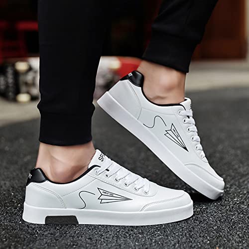 Baskets Basses Homme & Femme