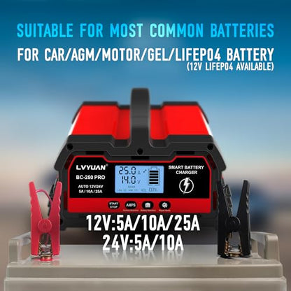 Chargeur de Batterie de Voiture Intelligent 25A 12V/24V 12A,