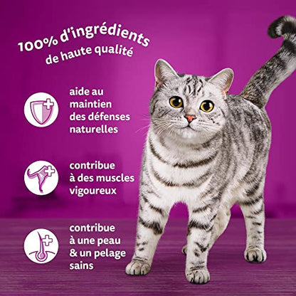 WHISKAS Repas - 48 Sachets Fraîcheur en Gelée