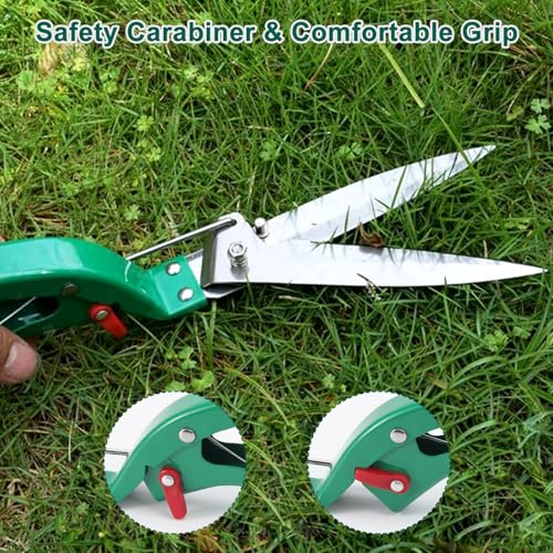 Ensemble d'Outils de Jardin
