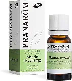 Huile Essentielle Menthe Des Champs