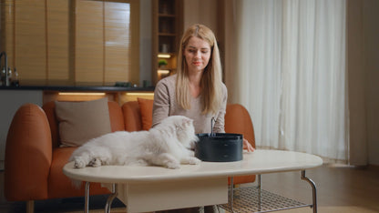 Fontaine a Eau Chat et chien - 3,2L