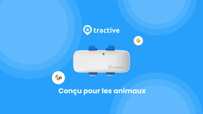 Tractive Collier GPS pour Chien XL